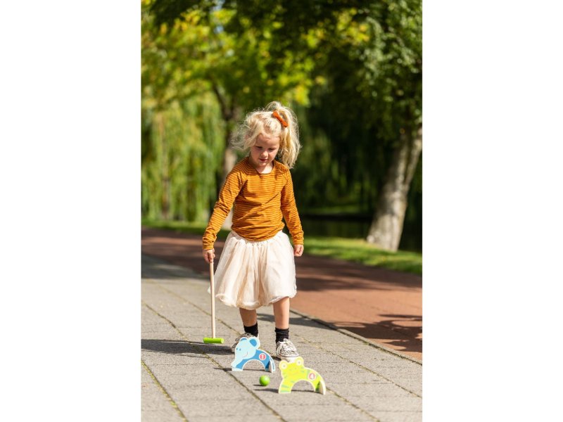 outdoor play animal croquet 6